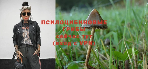 эйфоретик Нефтекумск