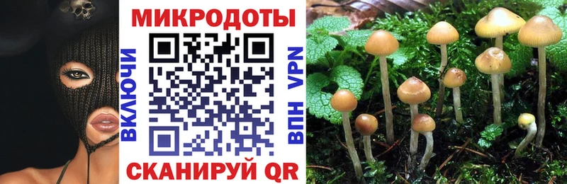 Галлюциногенные грибы ЛСД  как найти наркотики  Отрадное 