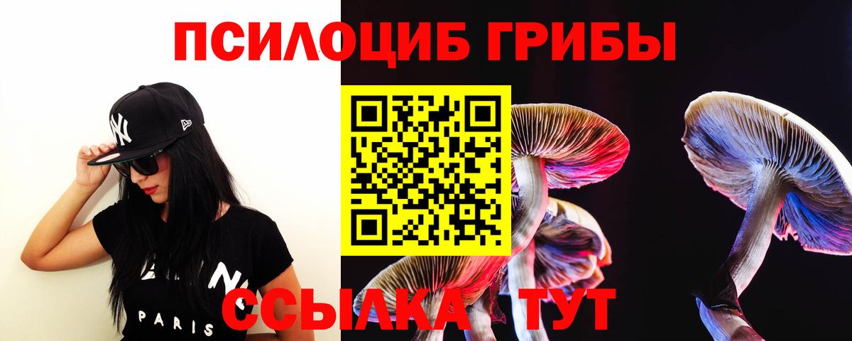 Отрадное  купить наркоту  Вход с VPN  Галлюциногенные грибы Psilocybine cubensis 