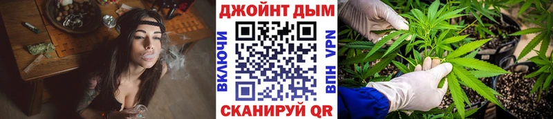 Конопля конопля  Отрадное 